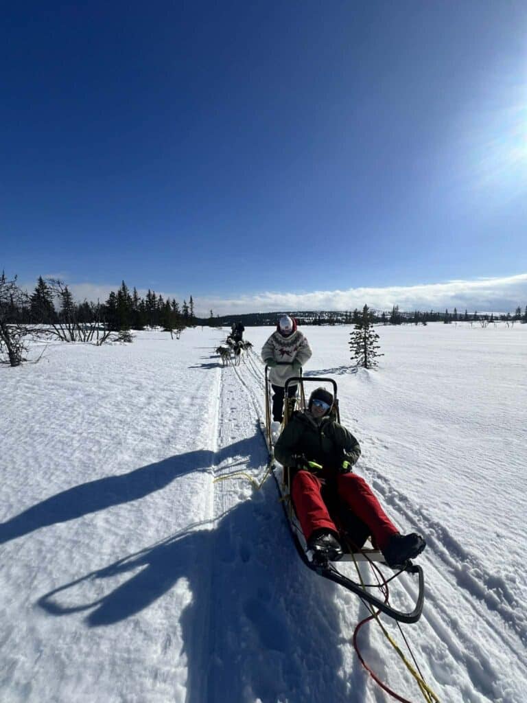 To personer sitter på en hundeslede som kjører gjennom et snødekt landskap under en klarblå himmel, med trær spredt i det fjerne.