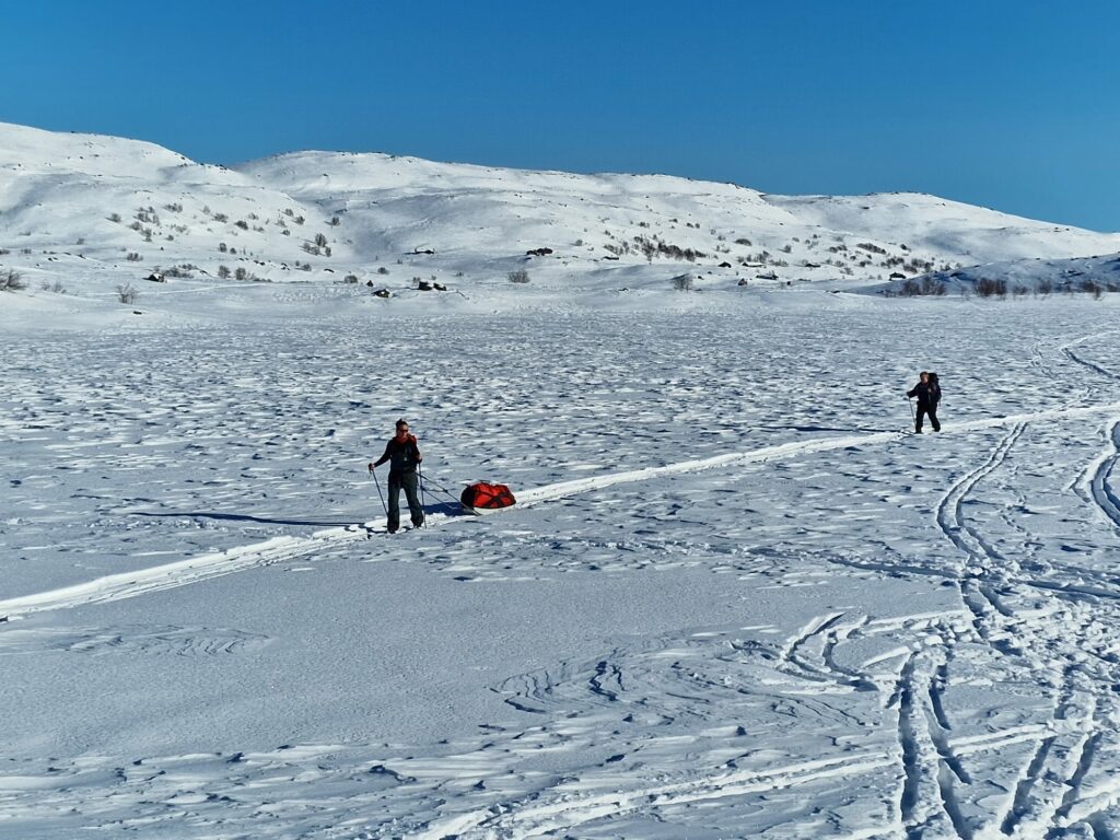 En person i lyse vinterklær står på snødekt mark ved siden av sleder lastet med utstyr, med ski og en hund synlig i nærheten i en blåtonet utendørsomgivelse.