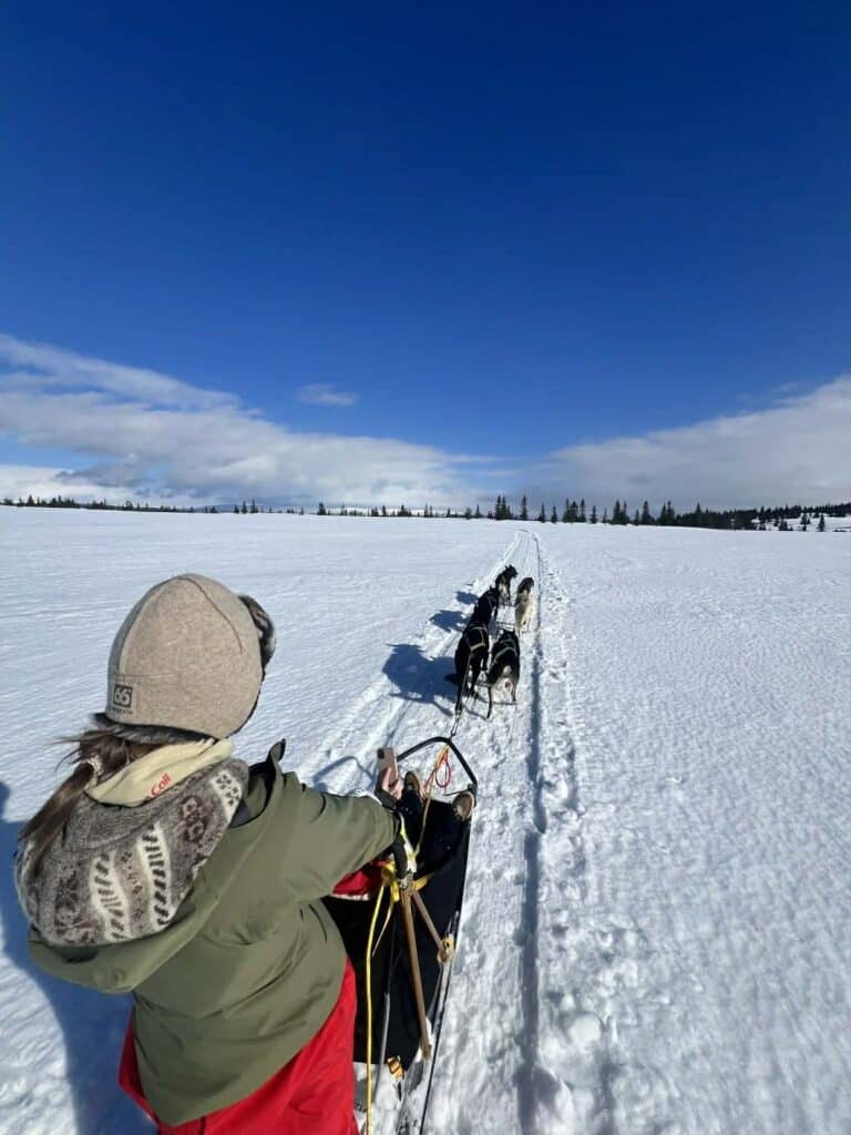 En person kjører hundeslede gjennom et snødekt landskap under en klarblå himmel, med et hundespann som trekker sleden langs en smal sti.
