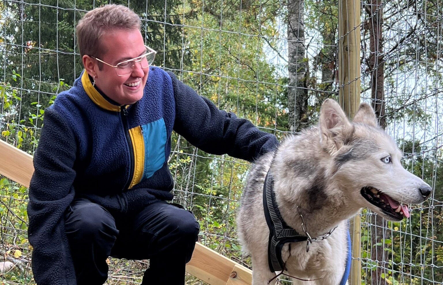 En person med briller og blå og gul jakke står på kne ved siden av en selet huskyhund utendørs i nærheten av et nettinggjerde og trær.