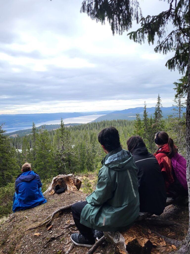 Fire personer i jakker sitter på en tømmerstokk ved en skogkledd fjellutsikt, med utsikt over trær, vann og fjerne åser under en skyet himmel.