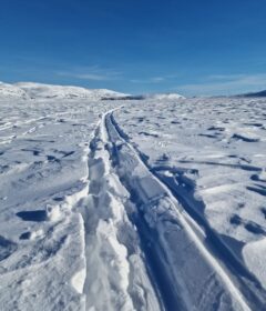 Skispor skjærer seg gjennom et snødekt landskap under en klarblå himmel, med snødekte åser i bakgrunnen.
