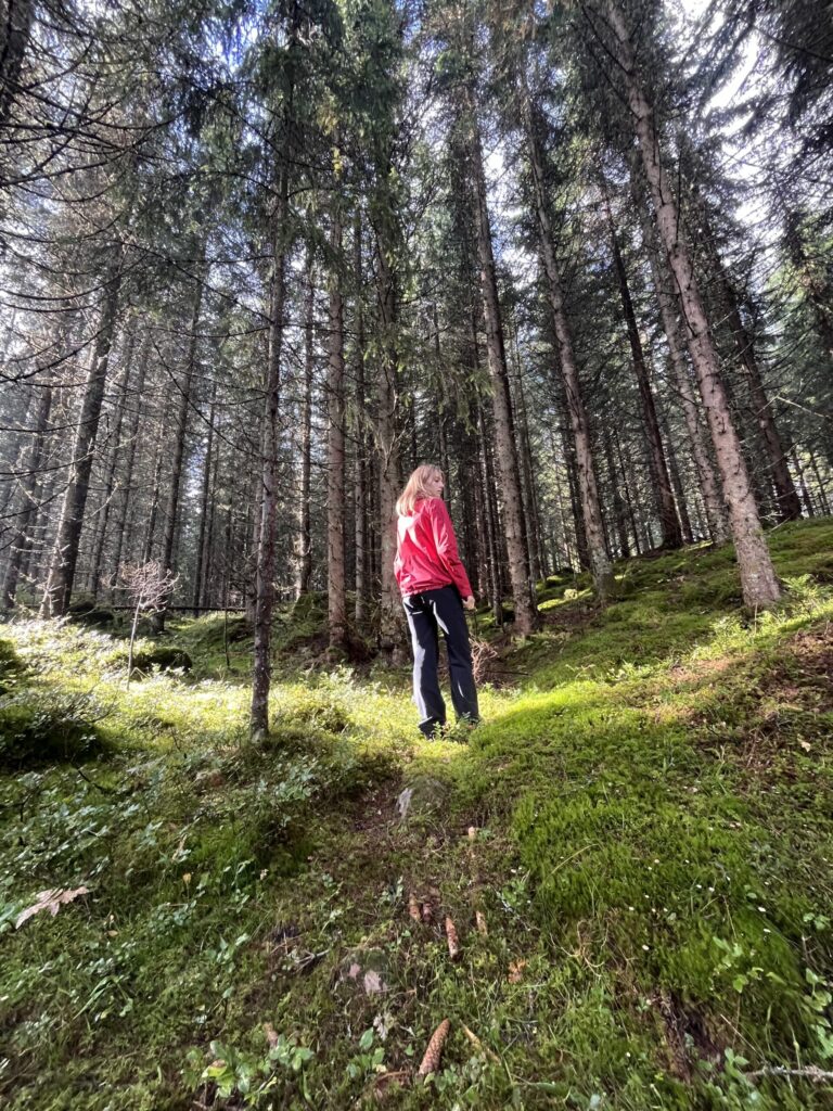 feiring-3 En person i rød jakke står på en mosegrodd skogbunn, omgitt av høye trær med sollys som filtrerer gjennom grenene.