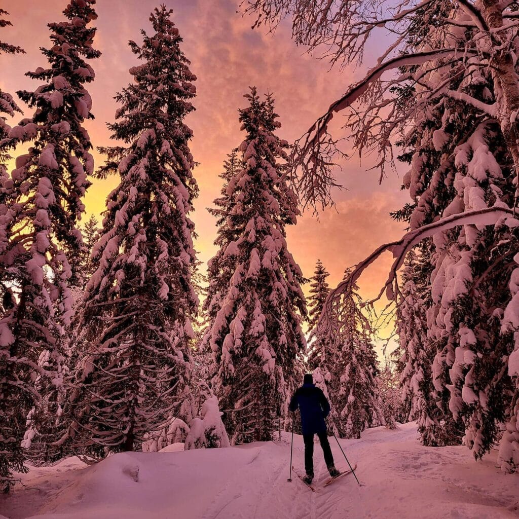 En person står på ski langs en snødekt løype gjennom en skog av snødekte trær under en fargerik solnedgangshimmel.