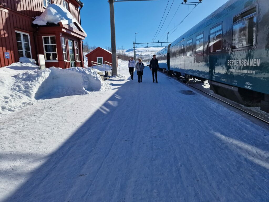 Tre personer går på en snødekt perrong ved siden av et blått tog fra Bergensbanen på en stasjon med røde trebygninger på en solrik dag.