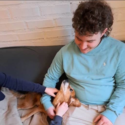 En person sitter i en sofa og smiler og ser ned på en hund som ligger ved siden av, mens to andre hender klapper hunden.